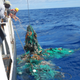 Image for article titled We underestimated the size of the Great Pacific Garbage Patch—by 16 times